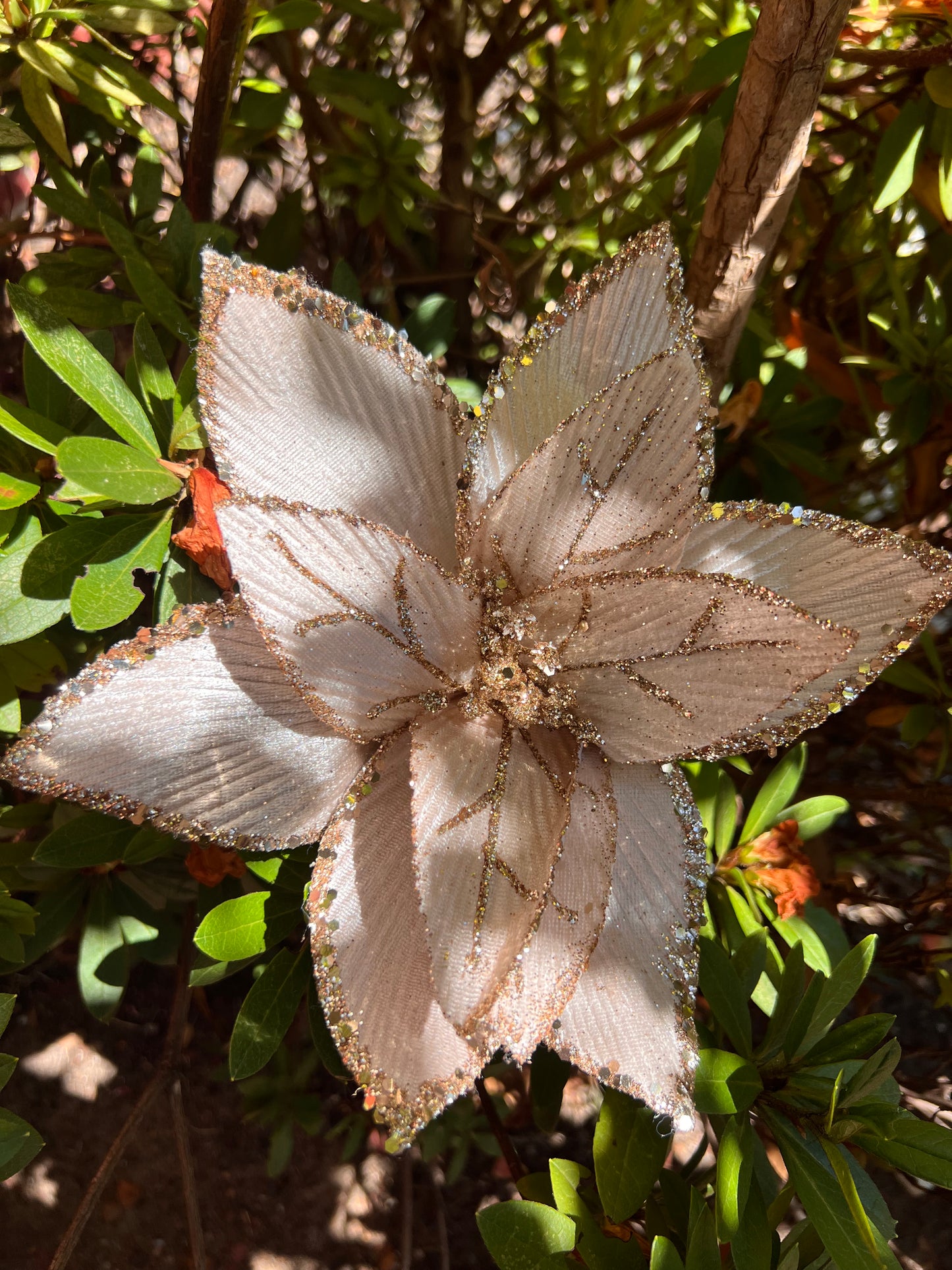 Poinsettia Stem XX11895 XX11900