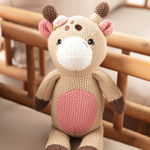 Load image into Gallery viewer, Baby Knitted Toy
