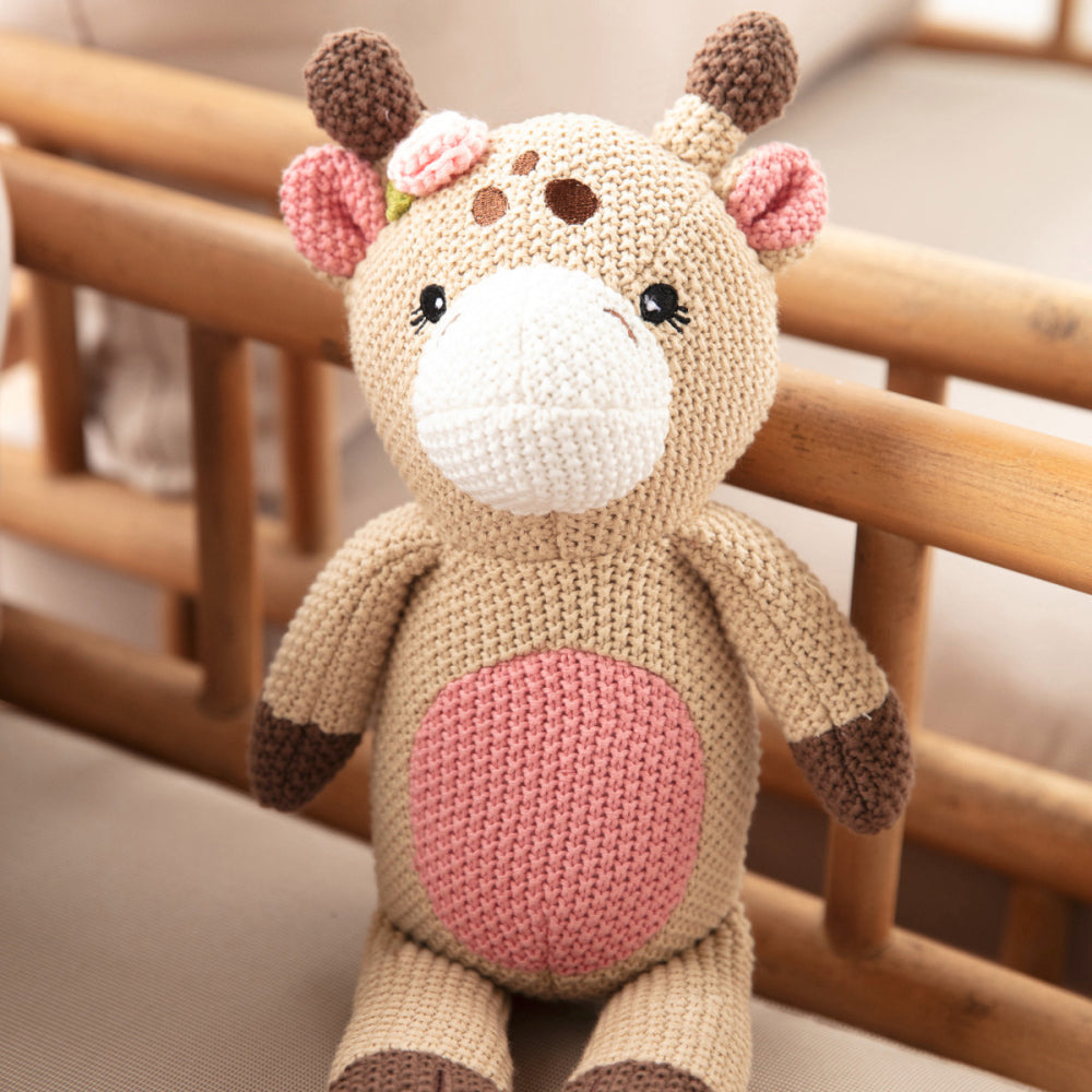 Baby Knitted Toy