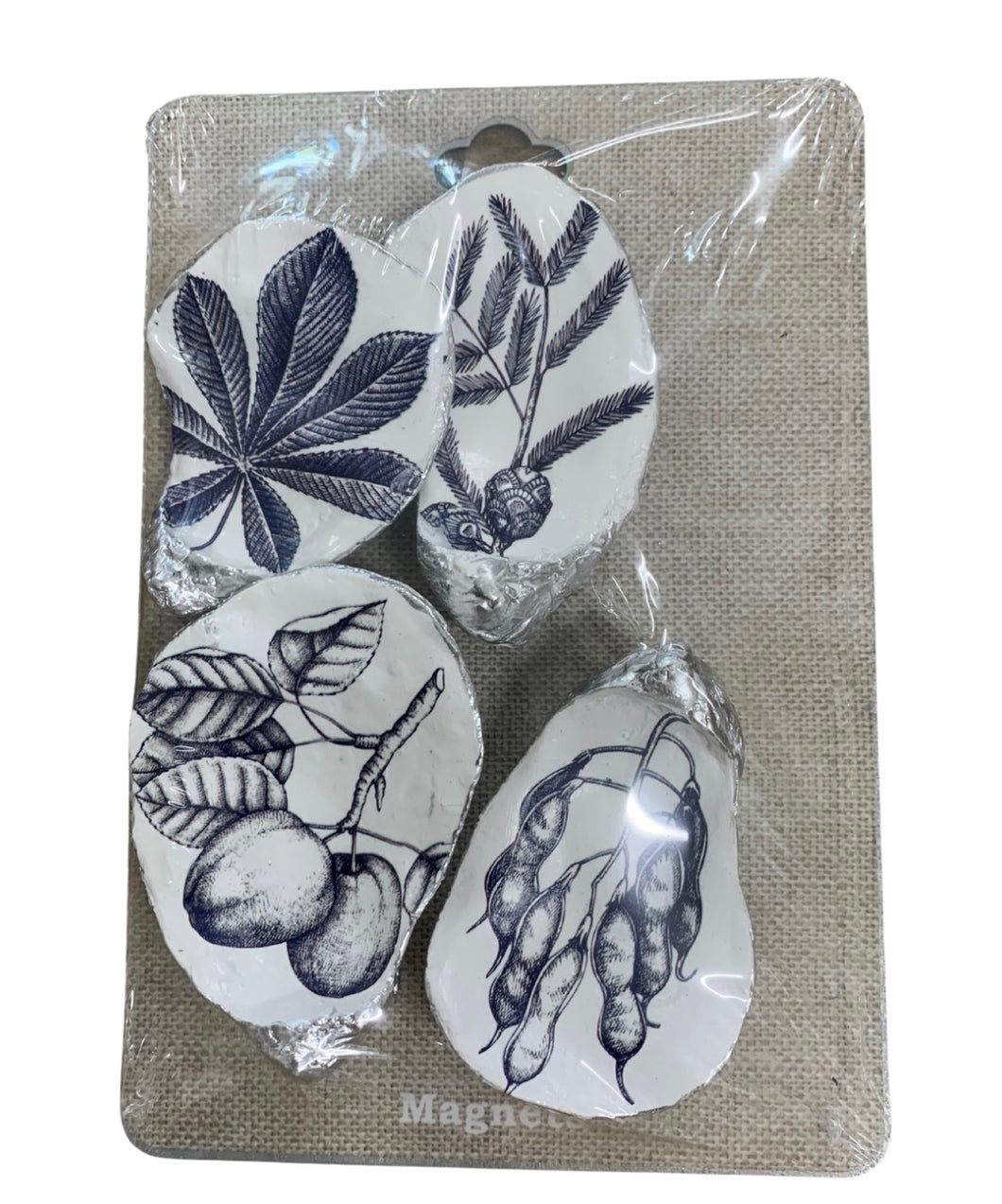 Stacey Resin Silver Magnet Set of 4