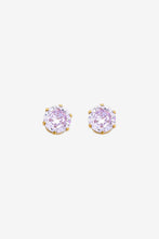 Load image into Gallery viewer, Petite Paris Earring
